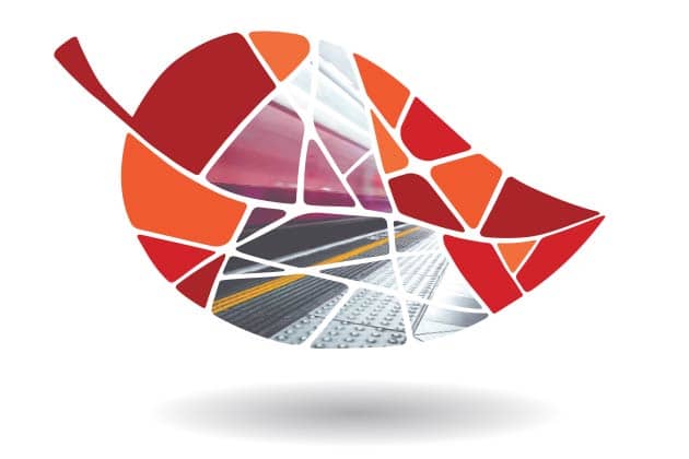 Image module