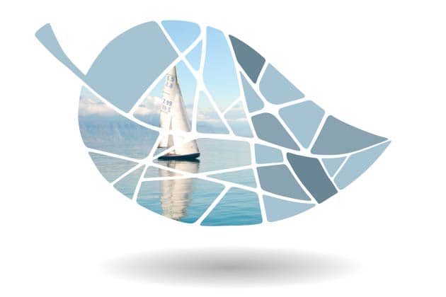 Image module